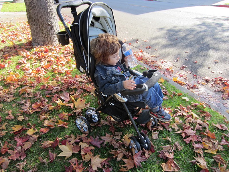 Combi Cabria Review StrollerQueenReviews